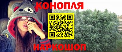 spice Будённовск
