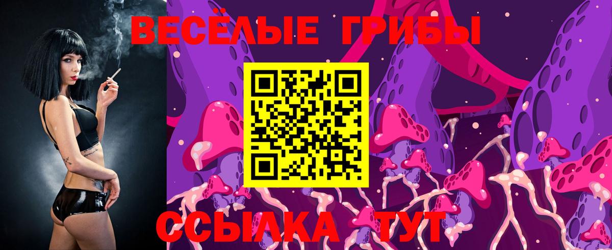 наркошоп  Вход с VPN  Светлоград  Галлюциногенные грибы прущие грибы 